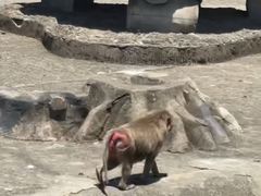 -宁波野生动物园