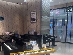 -知音艺术教育培训·钢琴培训·音乐培训(河西金鹰世界校区)