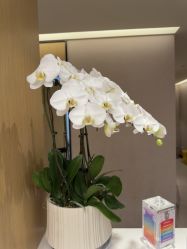 -Yestar杭州艺星医疗美容医院