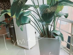 -唐朵咖啡(曹杨影城店)