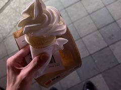 -麦当劳(石家庄北国店)