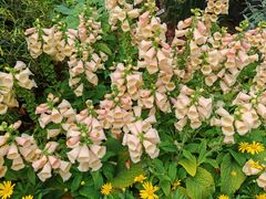 -人民公园(罗湖区)