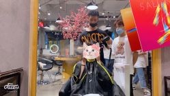 -时尚殿堂明星门店