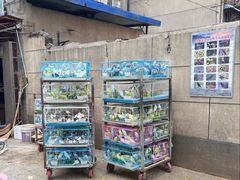 -马文章胖子甑糕(洒金桥店)