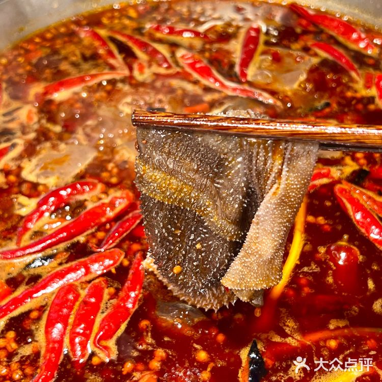 文殊院旁边!庭院里边吃火锅边听live🎵