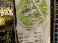 -嘉定紫藤园