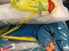 -西沃古尔·拉姆古兰爵士国际机场