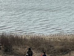 -青龙湖公园