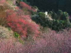 -新安江山水画廊风景区