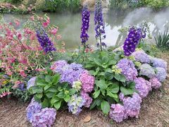 -人民公园(罗湖区)