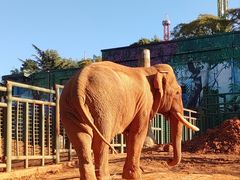 -昆明动物园