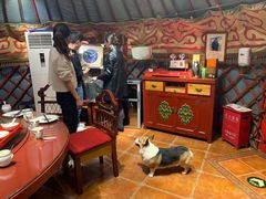 -九十九顶毡房(阜石路店)