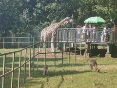 -合肥野生动物园