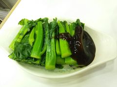 芥兰-文辉墨鱼丸大王(铜锣湾渣甸街总店)