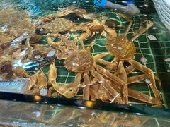 -丰卓会海鲜自助(中润大道店)