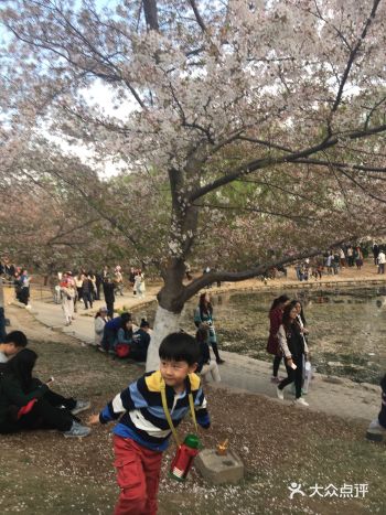 2019旅行攻略-北京玉渊潭公园