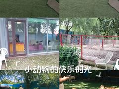 -宠物寄养训练学校