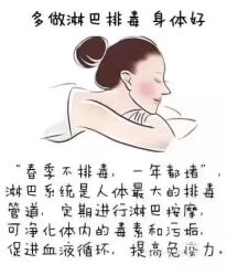 -香薇妮丝·定制减肥·身材管理