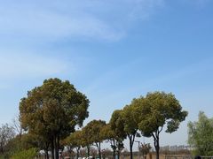 -漕湖湿地公园