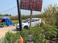 -吉林拉法山