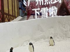 -广州热雪奇迹