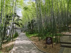 -南山风景名胜区