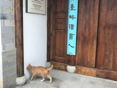 -安庆柴火馄饨(马道街店)