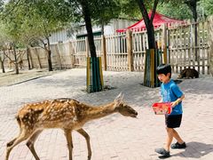 -水上乐园·欢乐世界