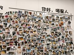 -瑞派·关忠动物医院·猫专科·犬专科(三环新城店)