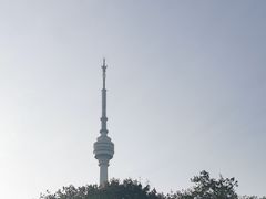 -龟山风景区-龟山电视塔
