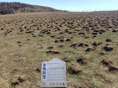 -芦芽山旅游度假区