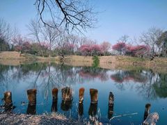 -西溪国家湿地公园