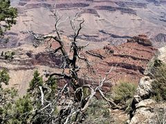 -科罗拉多大峡谷