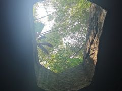 -青青世界