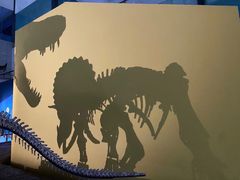 -湖南省地质博物馆