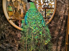 门面-雀蓝川菜(奥体广场店)