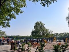 -大兴滨河森林公园