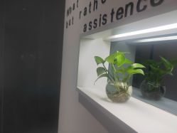 -馨美女性健康管理中心