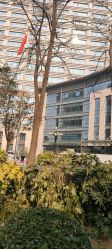 -河南中医药大学第一附属医院-医疗整形