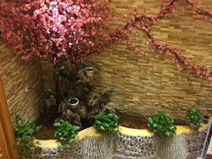 -鸥迪足道(老虎滩店)