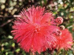 -白沙门生态公园