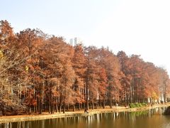 -汉水公园