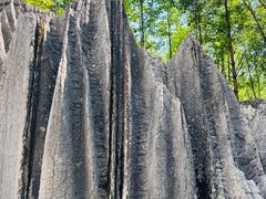 -梭布垭石林景区