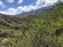-钻石头山