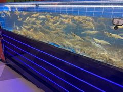 -0048鲜活香辣虾·火锅(铜陵路店)