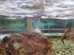 -顺德了能馆(虎门店)