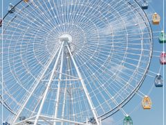 -飞来湖湿地公园