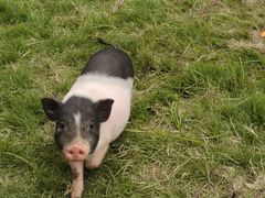 -南山风景名胜区