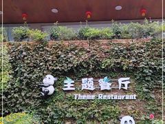 -熊猫主题餐厅