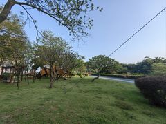 -大湾区中央湿地公园